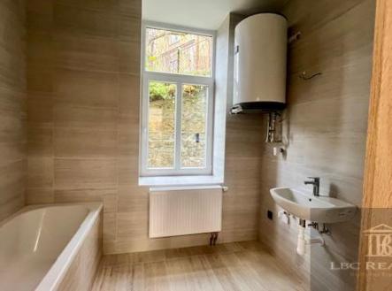 Unknown-1.jpeg | Pronájem bytu, 1+1, 50 m²