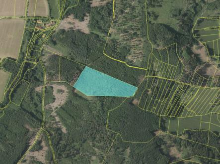 Prodej - pozemek, les, 33 347 m² obrázek