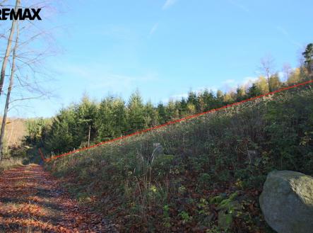 img-8376.jpg | Prodej - pozemek, les, 33 347 m²