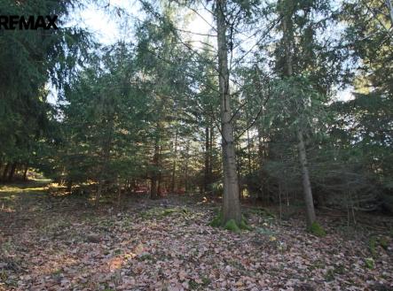 img-8367.jpg | Prodej - pozemek, les, 33 347 m²