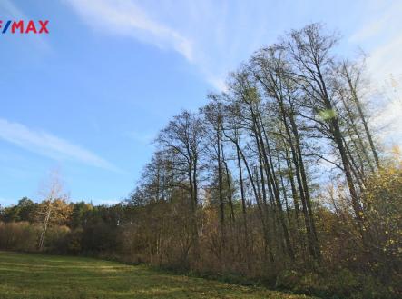 img-8383.jpg | Prodej - pozemek, les, 19 636 m²