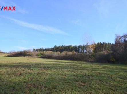 img-8381.jpg | Prodej - pozemek, les, 19 636 m²