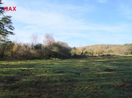 img-8378.jpg | Prodej - pozemek, les, 19 636 m²