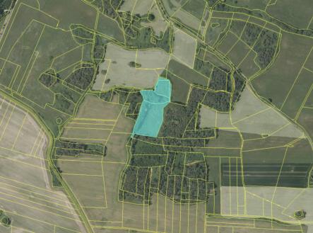 pohled-kn-brezany.png | Prodej - pozemek, les, 19 636 m²