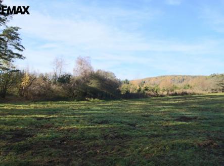 img-8378.jpg | Prodej - pozemek, les, 19 636 m²