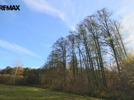 img-8383.jpg | Prodej - pozemek, les, 19 636 m²