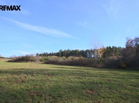 img-8381.jpg | Prodej - pozemek, les, 19 636 m²