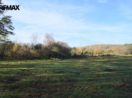 img-8378.jpg | Prodej - pozemek, les, 19 636 m²