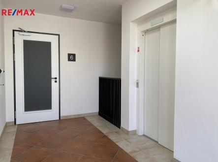 img-8146.jpg | Pronájem bytu, 1+kk, 49 m²