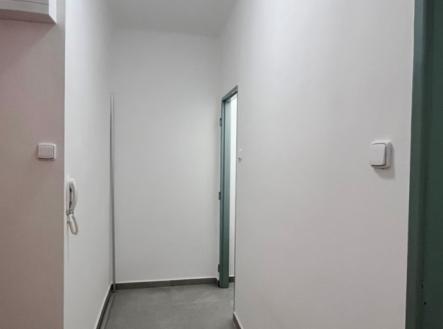 img-4741.jpeg | Pronájem bytu, 1+1, 40 m²