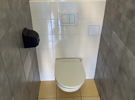 IMG_3123 | Pronájem bytu, 2+1, 65 m²