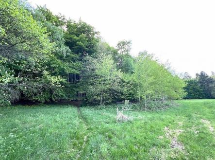 . | Prodej - pozemek pro bydlení, 4 137 m²