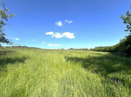 . | Prodej - pozemek, zemědělská půda, 9 431 m²