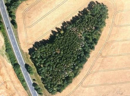 . | Prodej - pozemek, les, 7 830 m²