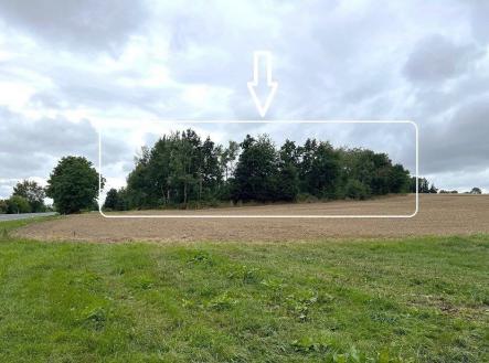 . | Prodej - pozemek, les, 7 830 m²