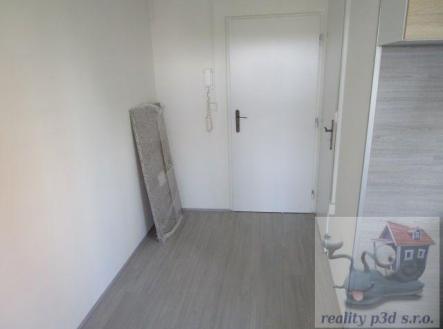 IMG_9127.JPG | Pronájem bytu, 1+1, 27 m²