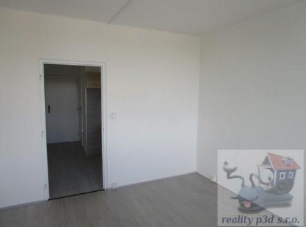 IMG_9130.JPG | Pronájem bytu, 1+1, 27 m²