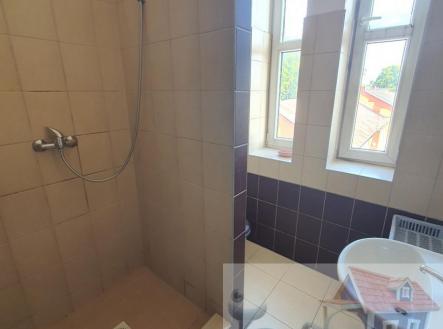 20250611_173110.jpg | Prodej bytu, 1+1, 44 m²
