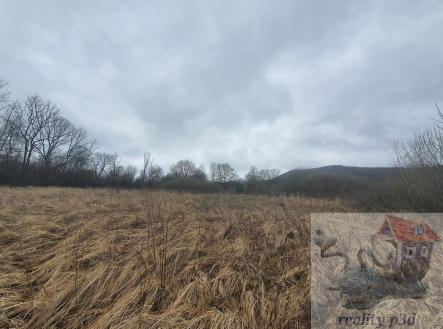 20250331_104051.jpg | Prodej - pozemek, trvalý travní porost, 2 105 m²