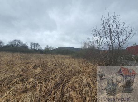 20250331_104055.jpg | Prodej - pozemek, trvalý travní porost, 2 105 m²