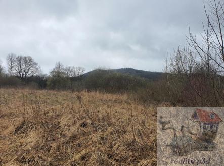 20250331_104058.jpg | Prodej - pozemek, trvalý travní porost, 2 105 m²