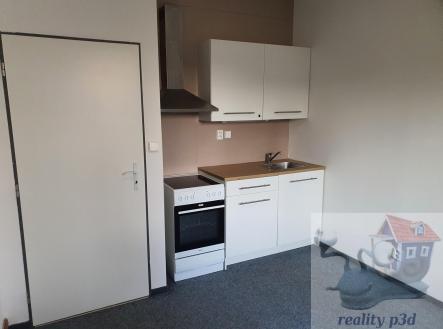 20250224_162543.jpg | Pronájem bytu, garsoniéra, 29 m²