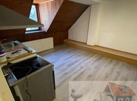 IMG-20250114-WA0014.jpg | Pronájem bytu, 1+kk, 27 m²