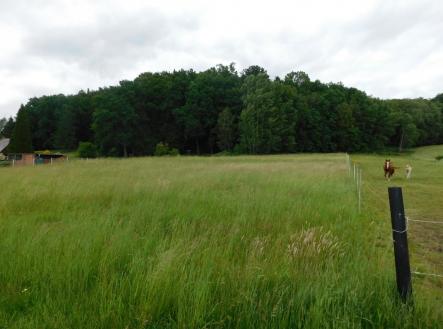 3.JPG | Prodej - pozemek, trvalý travní porost, 4 005 m²