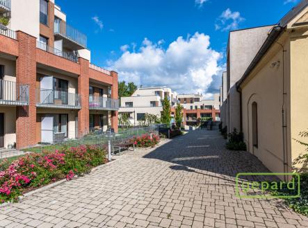 dsc-9338.jpg | Pronájem bytu, 3+kk, 67 m²