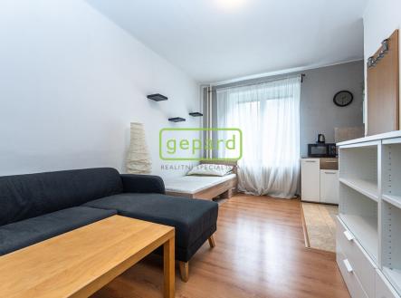 mh7-6069.jpg | Pronájem bytu, 1+kk, 20 m²