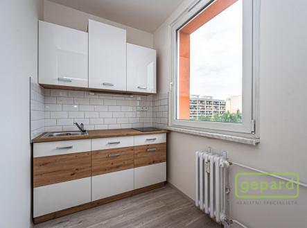 dsc-4784.jpg | Pronájem bytu, 1+kk, 29 m²