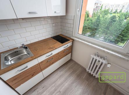 dsc-4785.jpg | Pronájem bytu, 1+kk, 29 m²