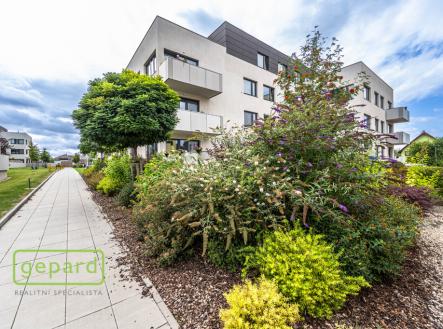mh7-9386.jpg | Prodej bytu, 4+kk, 105 m²