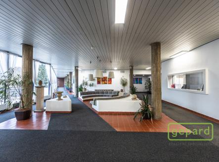recepce | Pronájem - kanceláře, 132 m²