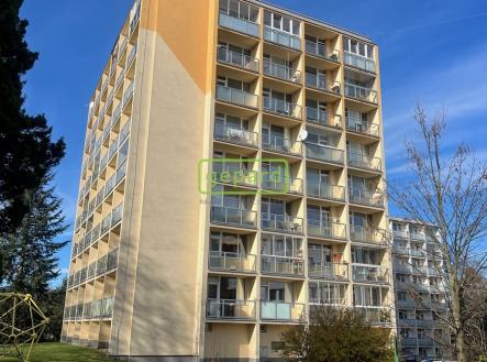 img-7647.jpg | Pronájem bytu, 1+kk, 30 m²