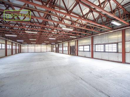 img_d5f5f86bcf_orig.jpg | Pronájem - obchodní prostor, 700 m²