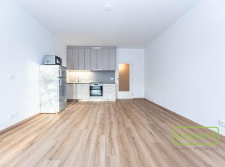 1.jpg | Pronájem bytu, 1+kk, 36 m²