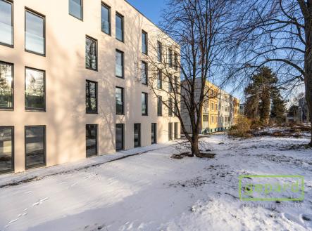 4.jpg | Pronájem bytu, 1+kk, 36 m²