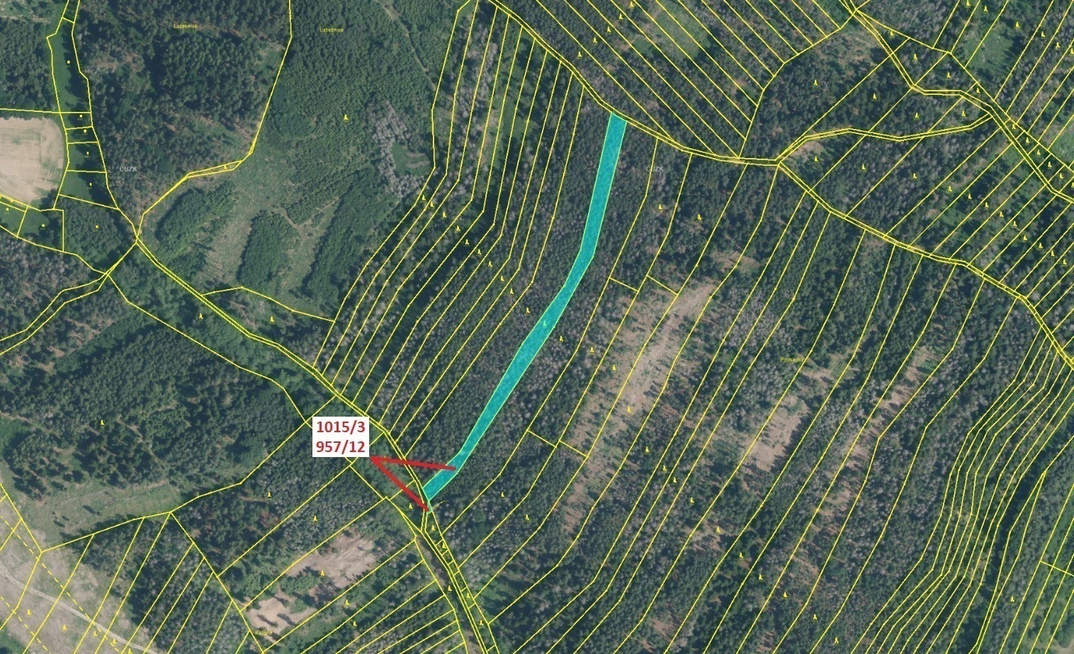 Lesní pozemky o výměře 5 454 m2, podíl 1/1, k.ú. Veverské Knínice, okres Brno-venkov