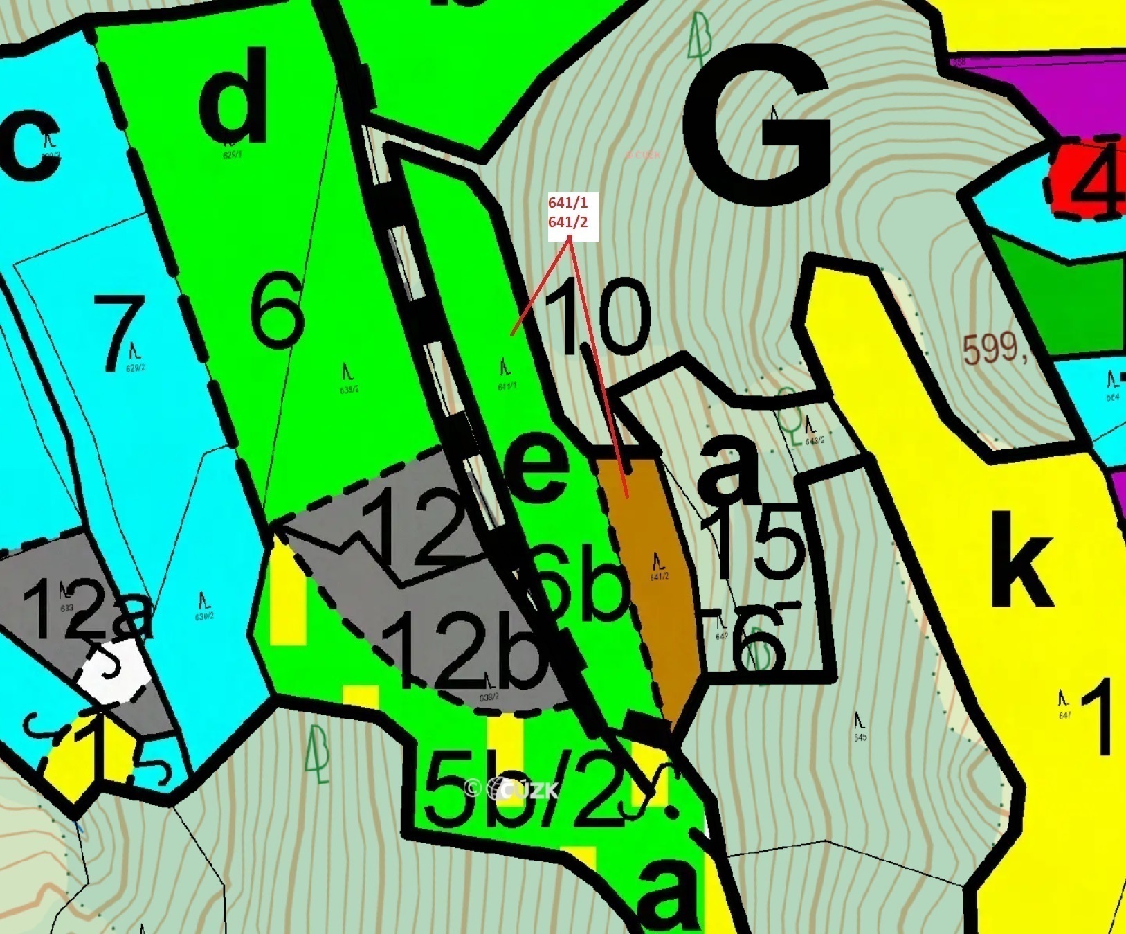 Lesní pozemky o výměře  4 136 m2, podíl 1/1, k.ú. Mstislavice, okres Havlíčkův Brod