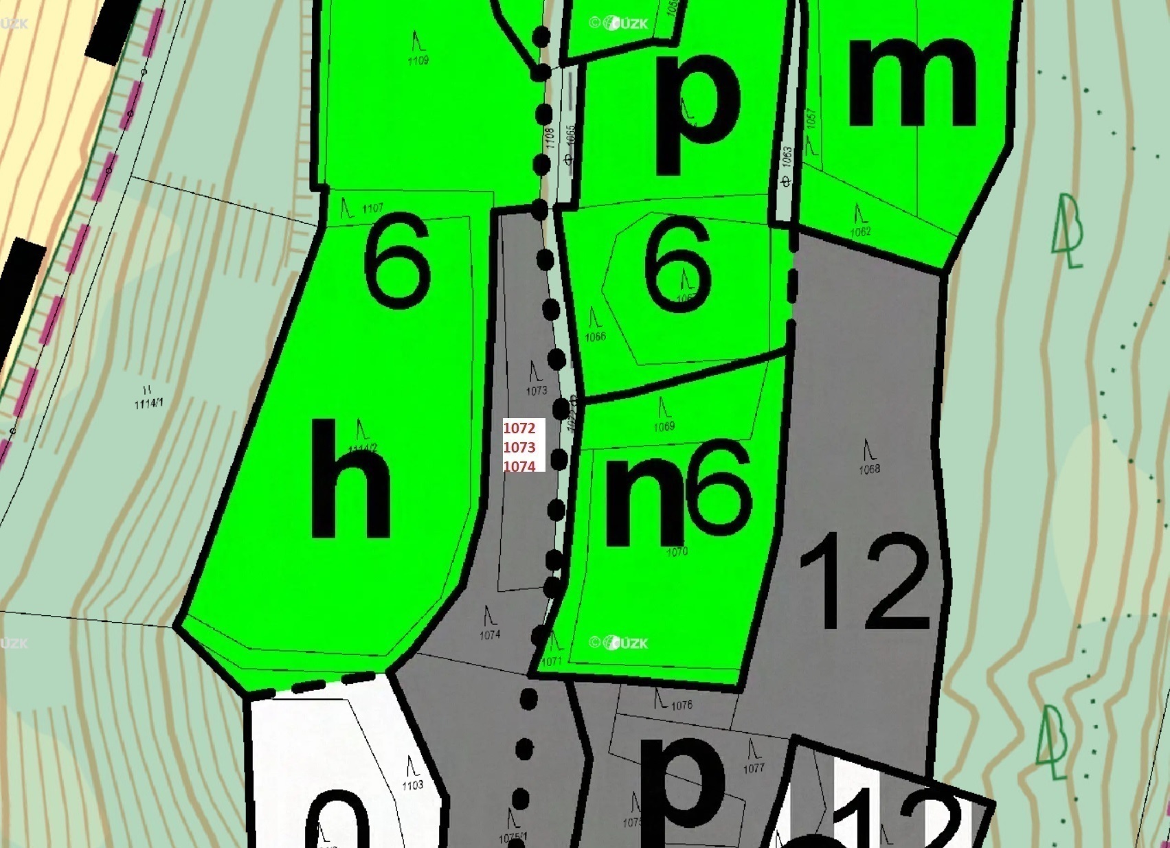 Lesní pozemky a ostatní plocha o výměře 1 586 m2, podíl 1/1, k.ú. Křížlice, okres Semily