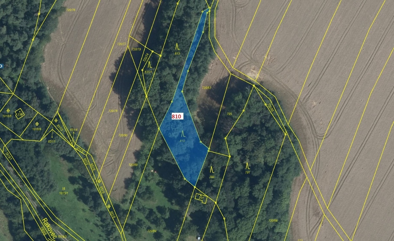 Lesní pozemek o výměře 1 235 m2, podíl 1/1, k.ú. Rovensko, okres Šumperk