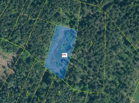 Prodej - pozemek, les, 2 482 m²