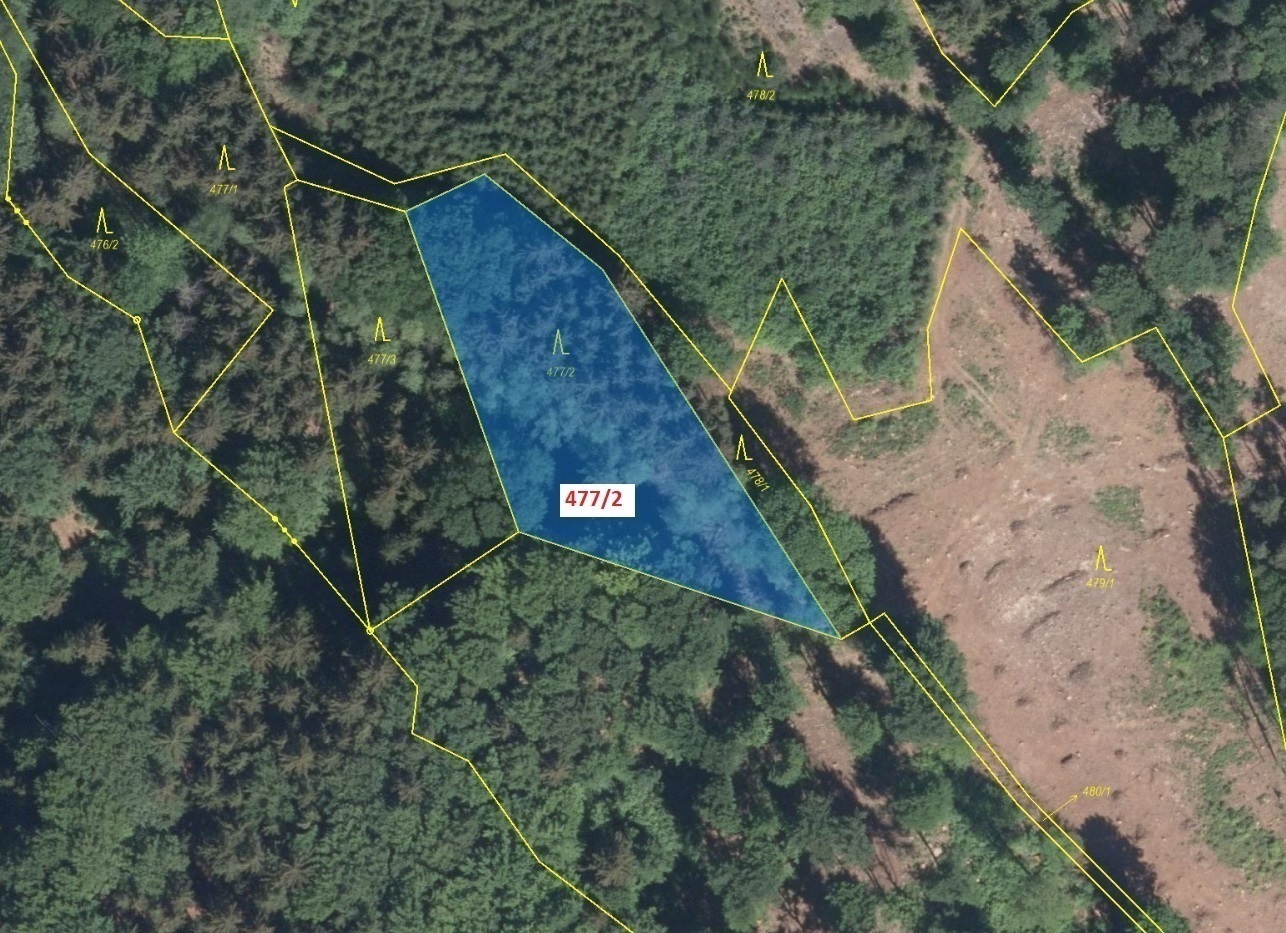 Lesní pozemky o výměře  2 281 m2, podíl 1/1, k.ú. Mstislavice, okres Havlíčkův Brod