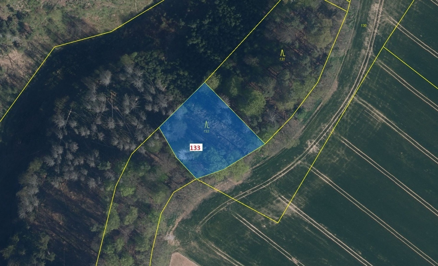 Lesní pozemek o výměře 1 755 m2, podíl 1/1, k.ú. Víska u Březovic, okres Mladá Boleslav