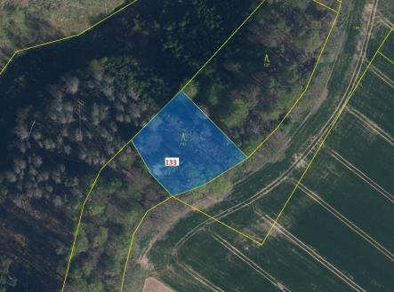 Prodej - pozemek, les, 1 755 m²