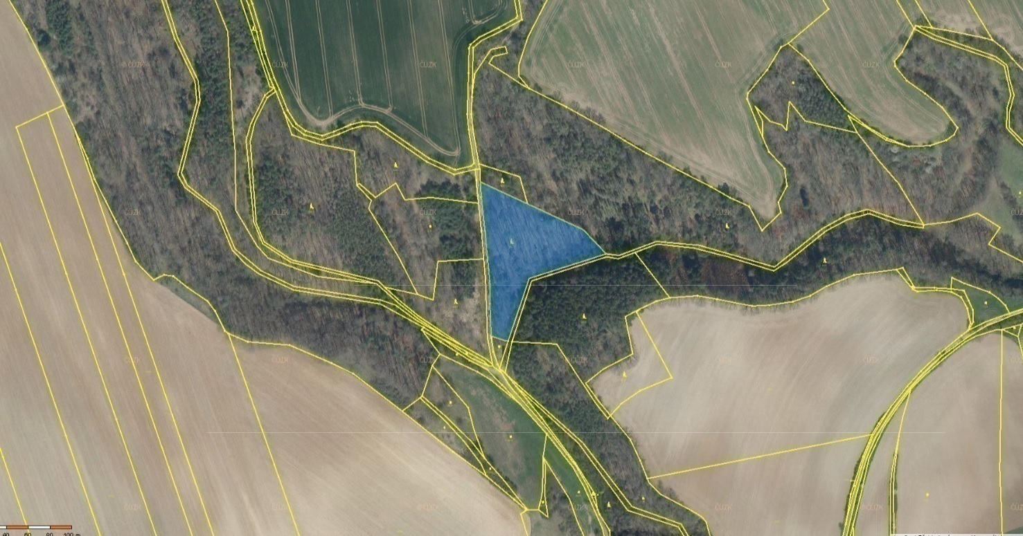 Lesní pozemek o výměře 8 141 m2, podíl 1/1, k.ú. Velký Hubenov, okres  Litoměřice