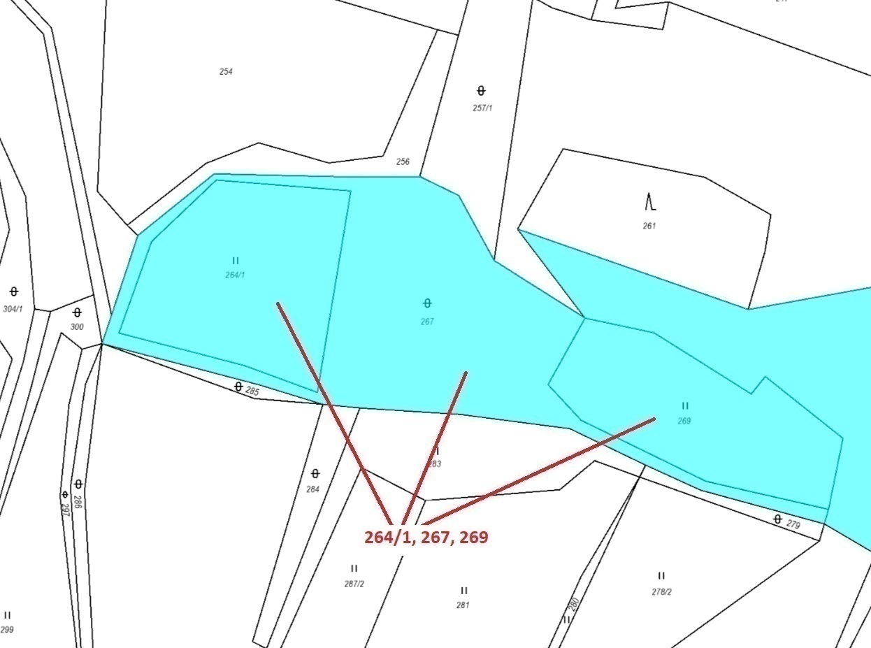 Trvalý travní porost, ostatní plocha o výměře 6 779 m2, podíl 1/1, k.ú. Setěchovice, okres Prachatic