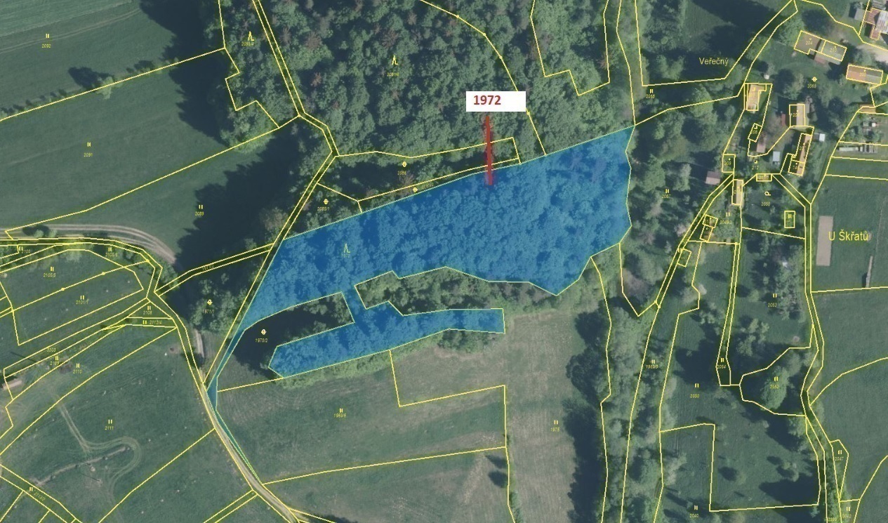 Lesní pozemek o výměře 10 038 m2, podíl 1/1, k.ú. Valašská Polanka, okres Vsetín