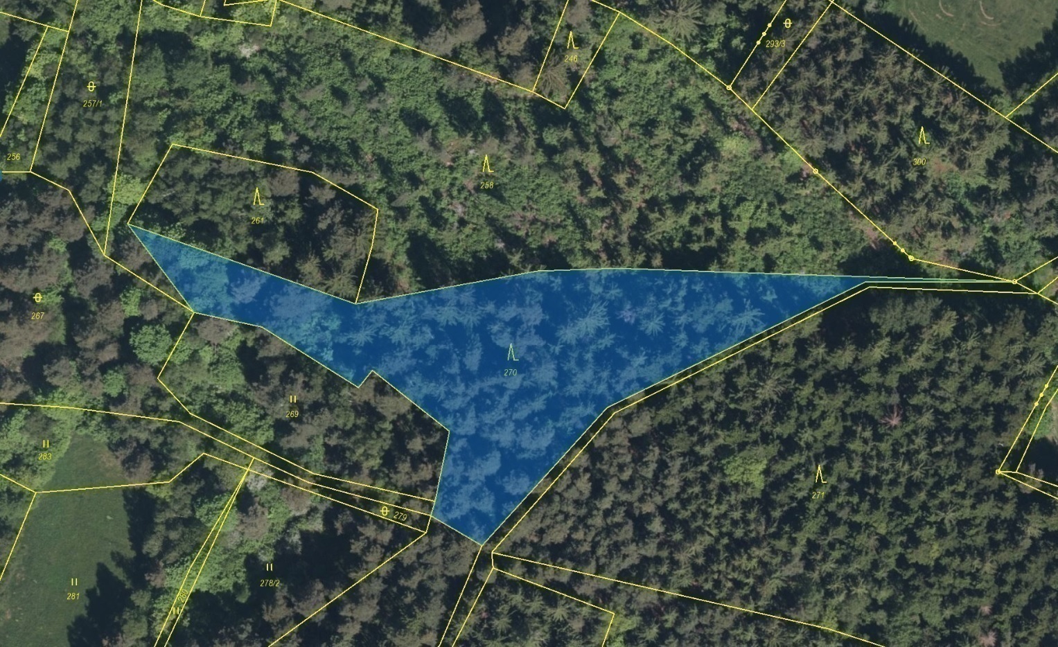 Lesní pozemek o výměře 4 502 m2, podíl 1/1, k.ú. Setěchovice, okres Prachatice